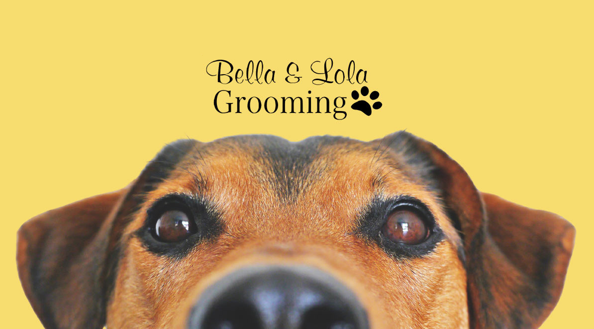 dog-grooming-franchise